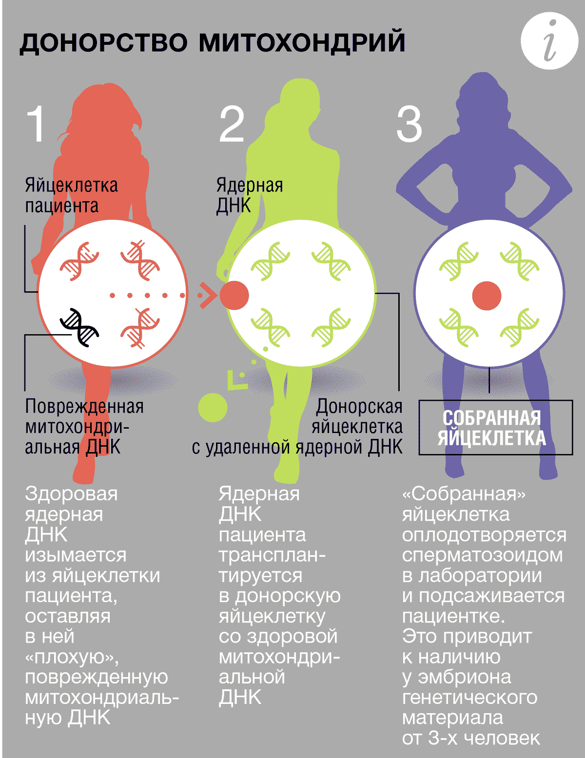 Сколько Стоит Эко В Москве Цена